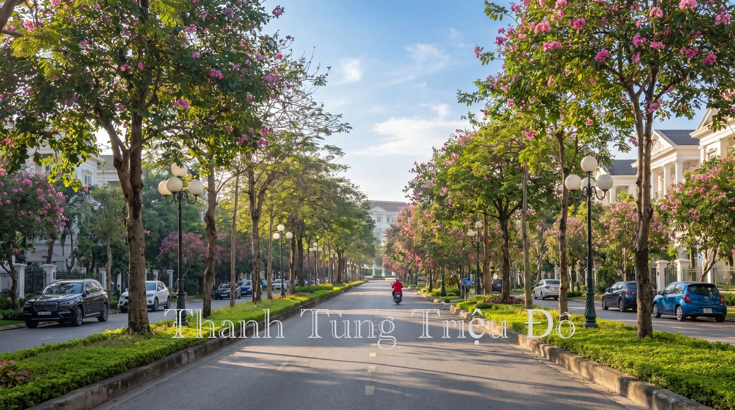 Đường nội khu rợp bóng cây cổ thụ lớn tại biệt thự ciputra Tây Hồ